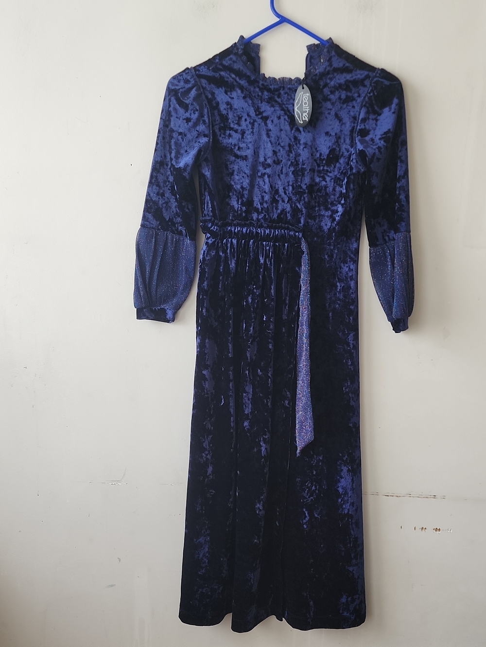 feathers Crushed Velvet Dress in Deep Purple Blue